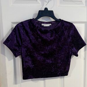 Urban Renewal Crushed Velvet Purple Crop Top